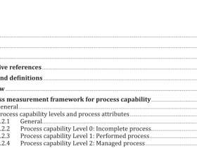 ISO IEC 33020:2019 pdf download