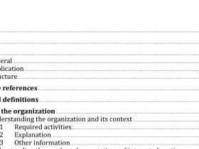 ISO IEC 20000-2:2019 pdf download